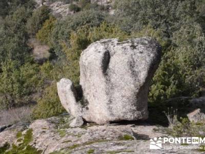 Puentes del Río Manzanares;senderismo personalizado;viajes turismo activo